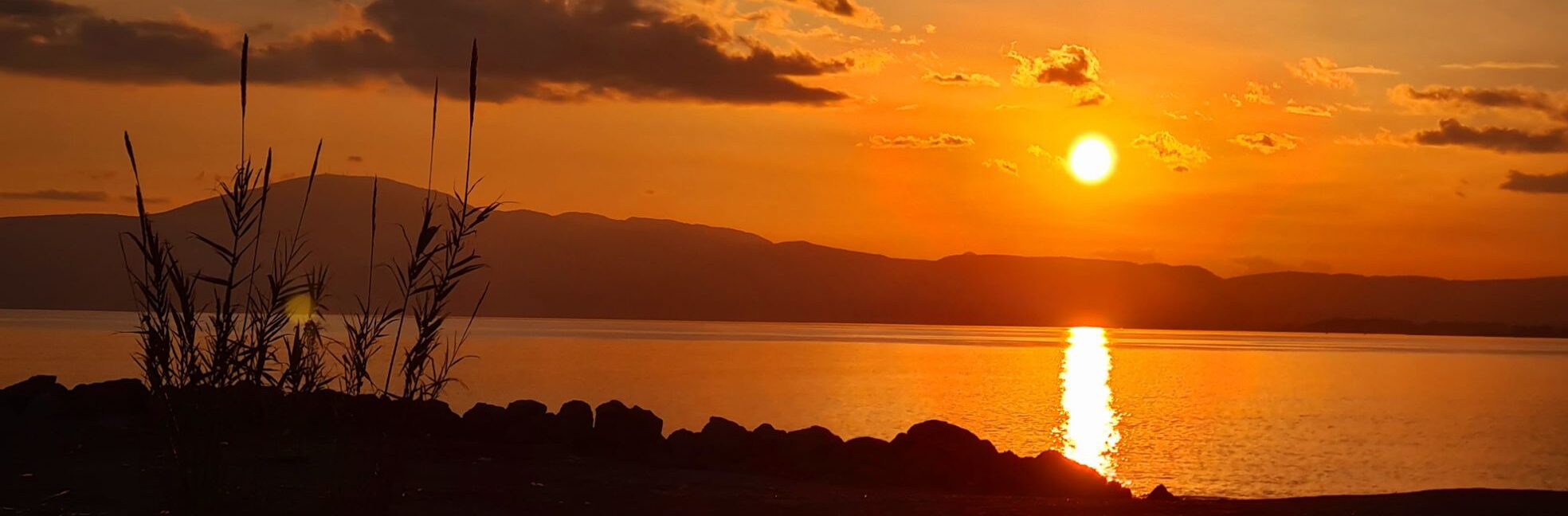 Mikes Weltreise / Mikes Journey